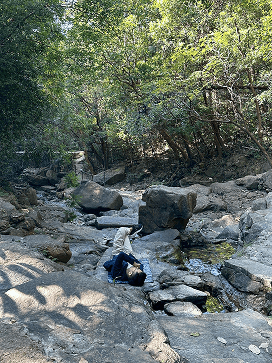 line_oa_chat_250526_141432 1